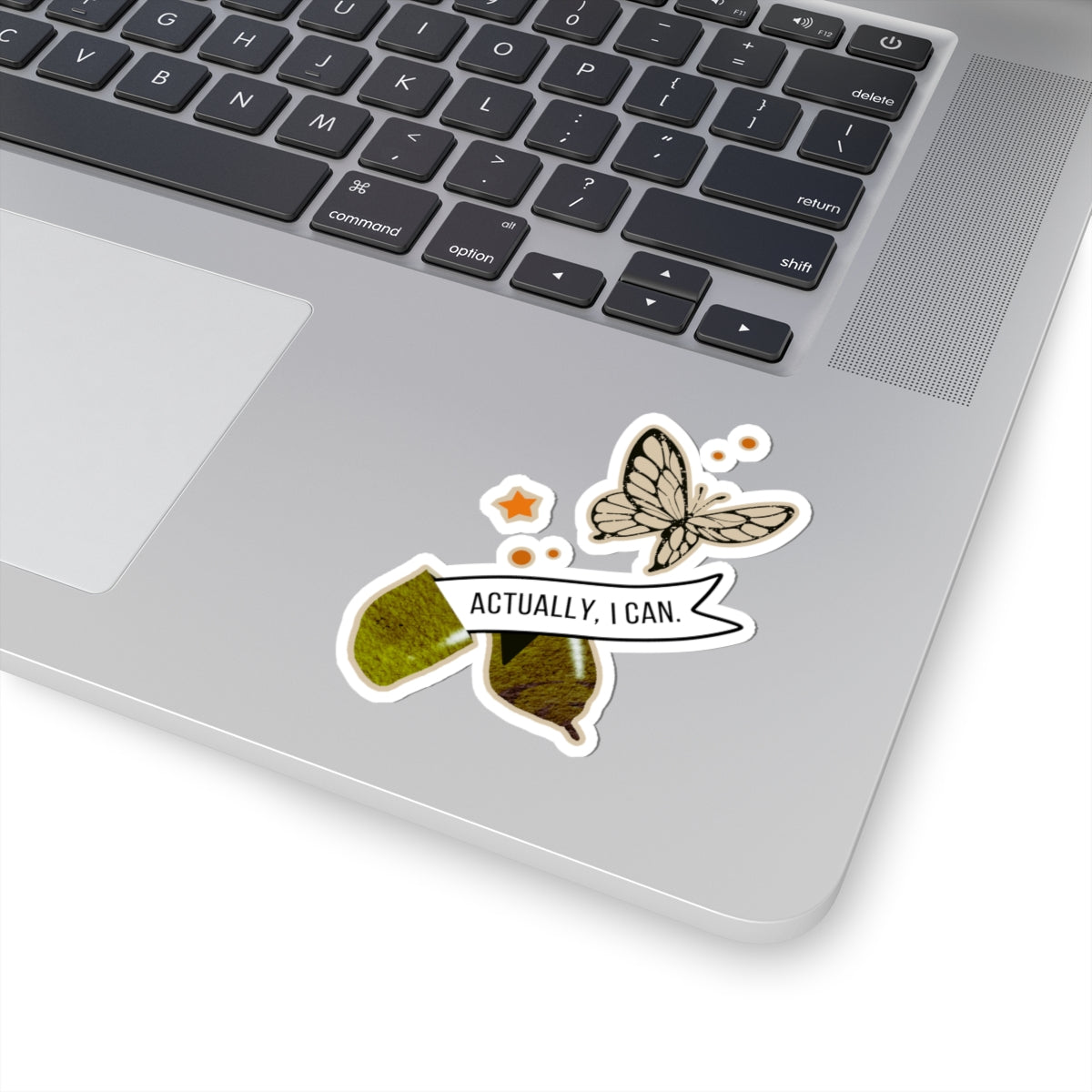 Actually, I Can – Vinyl Stickers