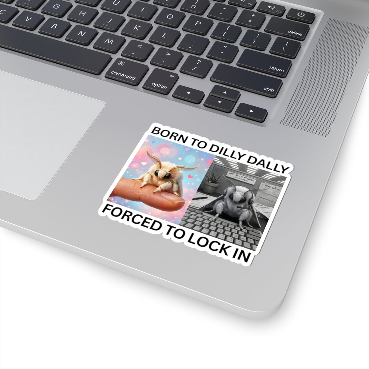 Born to Dilly Dally moth meme laptop sticker with procrastination humor on the palm rest area.
