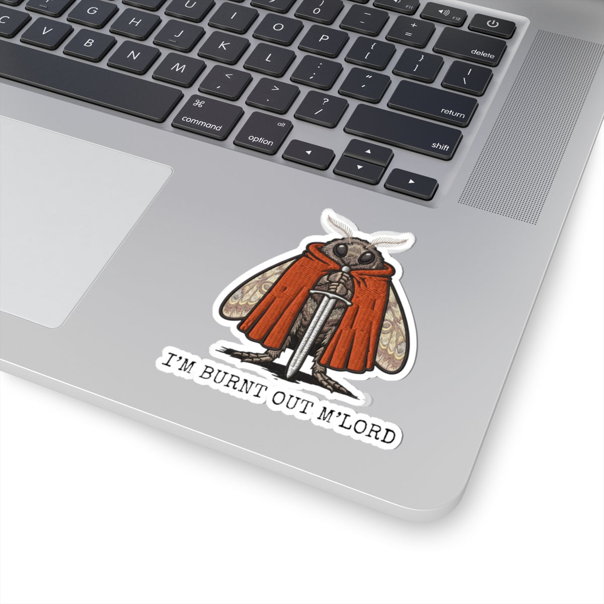 Laptop with a funny burnout moth meme sticker.