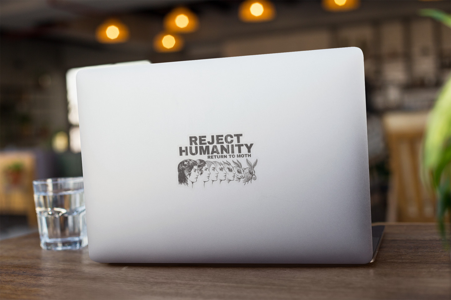 Laptop with a funny moth meme sticker on a wooden table with a blurred background